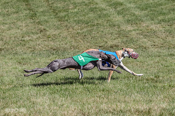 Program 2, Race 1 Hex Smokey-4011