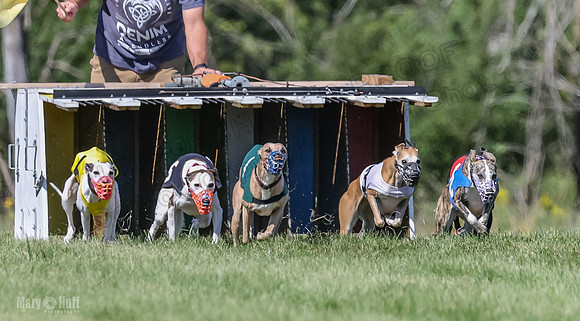 Program 2, Race 2 Jett Trillian Fia Roxy Gambit Mimic-4028