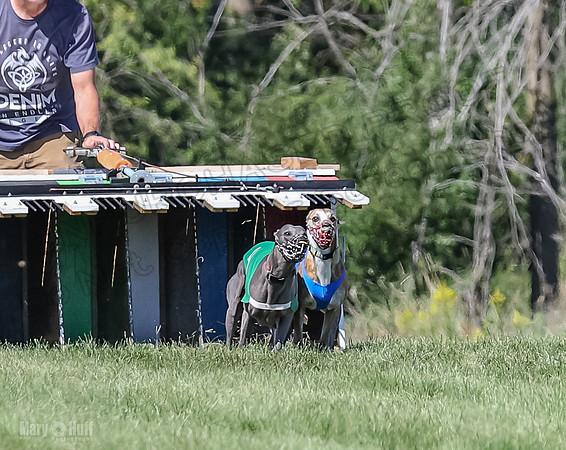 Program 2, Race 1 Hex Smokey-3967