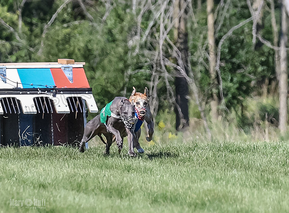 Program 2, Race 1 Hex Smokey-3972