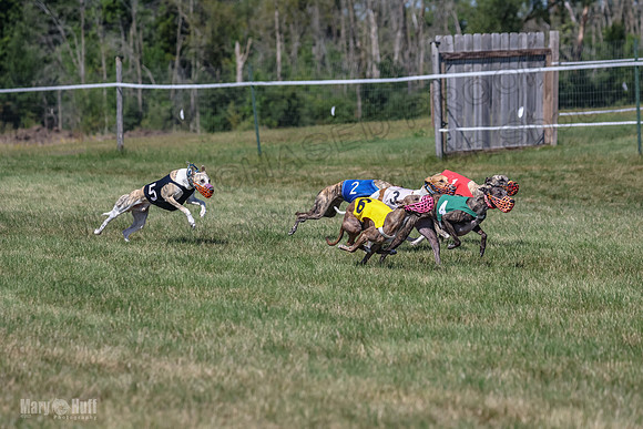 Program 2, Race 6 Ullr Veela Conway Talim-4363