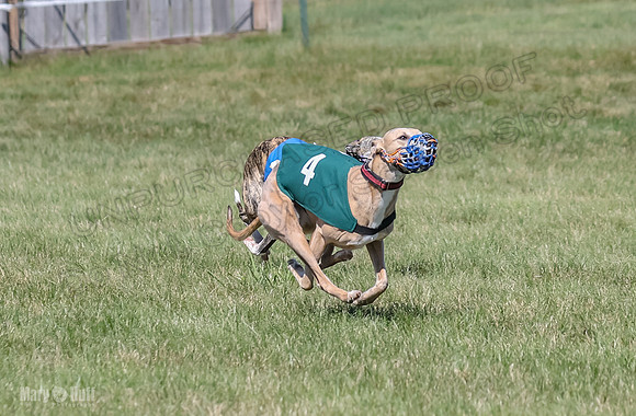 Program 2, Race 2 Jett Trillian Fia Roxy Gambit Mimic-4049