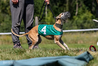 Program 3, Race 2 Roxy Denim Fia Blaze Trillian-4437