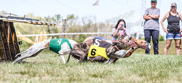 Program 3, Race 6 EllieMae Ullr Conway Pearl Tara Talim-4594