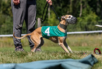 Program 3, Race 2 Roxy Denim Fia Blaze Trillian-4436
