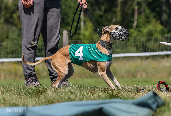 Program 3, Race 2 Roxy Denim Fia Blaze Trillian-4436