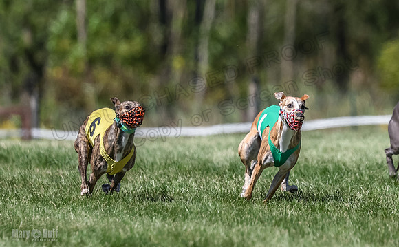 Program 3, Race 1 Smokey Hex Bender-4400