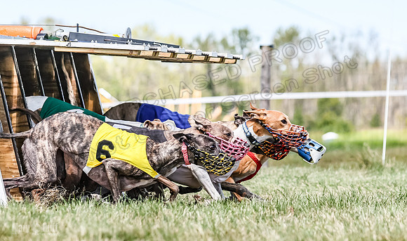 Program 3, Race 6 EllieMae Ullr Conway Pearl Tara Talim-4591