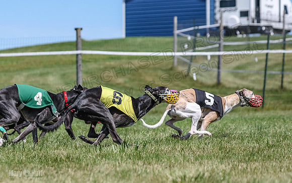 Program 3, Race 3 Jett TheFonz Bogie Sadie Bandit-4490