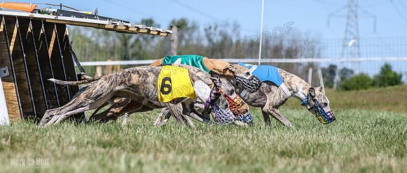 Program 3, Race 2 Roxy Denim Fia Blaze Trillian-4454