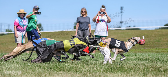 Program 3, Race 3 Jett TheFonz Bogie Sadie Bandit-4484