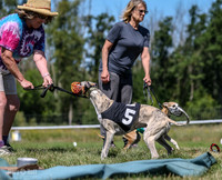 Program 3, Race 2 Roxy Denim Fia Blaze Trillian-4441
