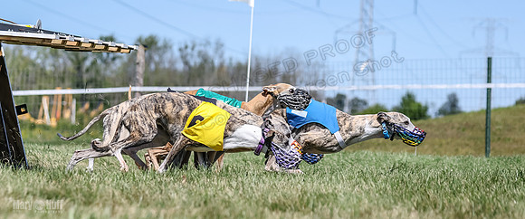Program 3, Race 2 Roxy Denim Fia Blaze Trillian-4455