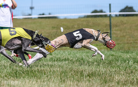 Program 3, Race 3 Jett TheFonz Bogie Sadie Bandit-4485