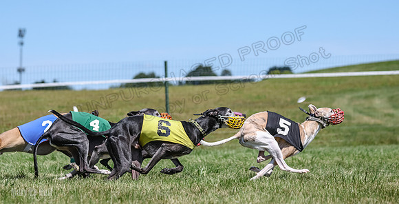 Program 3, Race 3 Jett TheFonz Bogie Sadie Bandit-4487