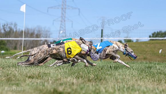 Program 3, Race 2 Roxy Denim Fia Blaze Trillian-4457