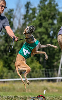 Program 3, Race 2 Roxy Denim Fia Blaze Trillian-4443