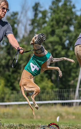 Program 3, Race 2 Roxy Denim Fia Blaze Trillian-4443