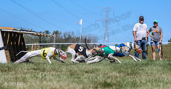 Program 3, Race 4 Sneakers Eagle Shimmy Piper Mimic-4517