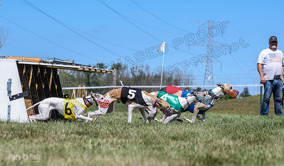 Program 3, Race 4 Sneakers Eagle Shimmy Piper Mimic-4516