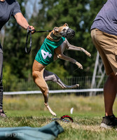 Program 3, Race 2 Roxy Denim Fia Blaze Trillian-4442