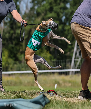Program 3, Race 2 Roxy Denim Fia Blaze Trillian-4442