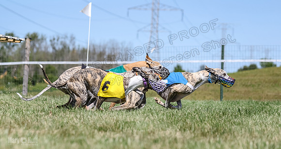 Program 3, Race 2 Roxy Denim Fia Blaze Trillian-4456