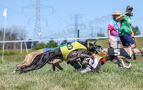 Program 3, Race 3 Jett TheFonz Bogie Sadie Bandit-4481