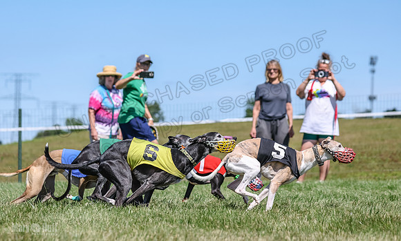 Program 3, Race 3 Jett TheFonz Bogie Sadie Bandit-4483