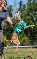 Program 3, Race 2 Roxy Denim Fia Blaze Trillian-4444
