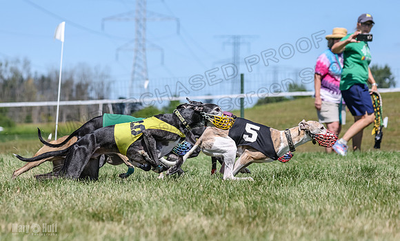 Program 3, Race 3 Jett TheFonz Bogie Sadie Bandit-4480