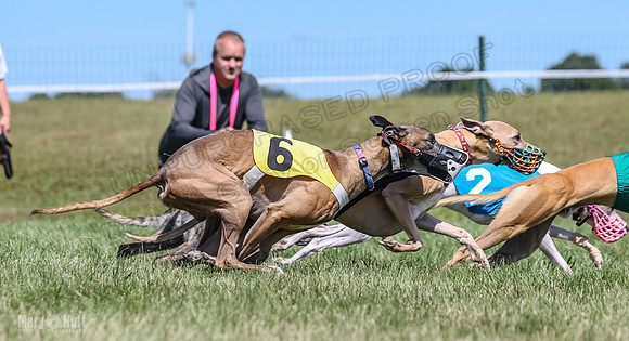 Program 3, Race 5 Veela Tissy Jethro Zelda Kaldi-4575