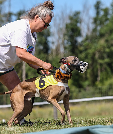 Program 3, Race 5 Veela Tissy Jethro Zelda Kaldi-4550