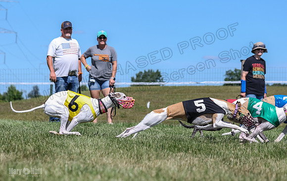 Program 3, Race 4 Sneakers Eagle Shimmy Piper Mimic-4522