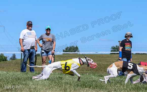 Program 3, Race 4 Sneakers Eagle Shimmy Piper Mimic-4523