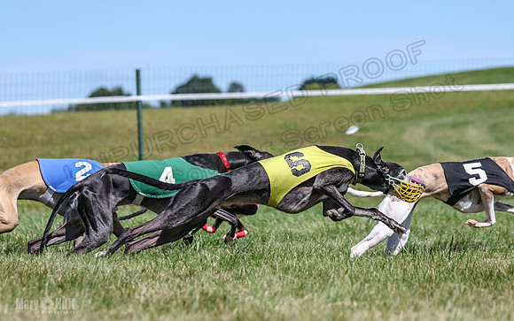Program 3, Race 3 Jett TheFonz Bogie Sadie Bandit-4488