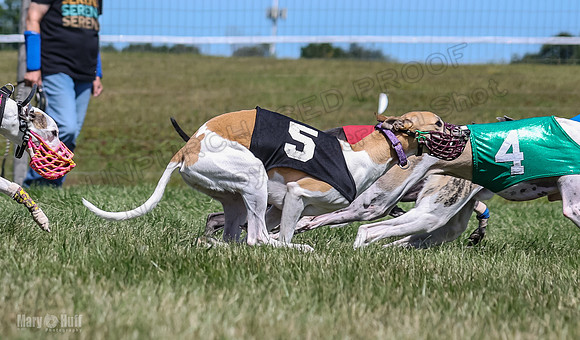 Program 3, Race 4 Sneakers Eagle Shimmy Piper Mimic-4524