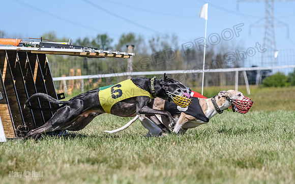 Program 3, Race 3 Jett TheFonz Bogie Sadie Bandit-4477