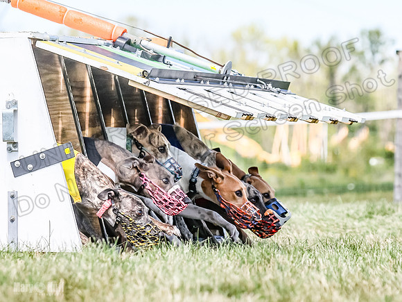 Program 3, Race 6 EllieMae Ullr Conway Pearl Tara Talim-4588