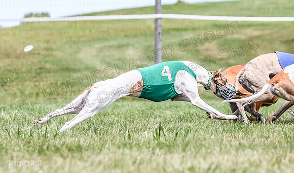 Program 3, Race 6 EllieMae Ullr Conway Pearl Tara Talim-4607