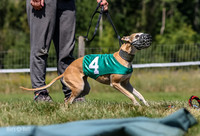 Program 3, Race 2 Roxy Denim Fia Blaze Trillian-4438