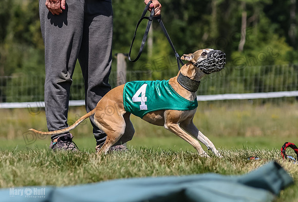 Program 3, Race 2 Roxy Denim Fia Blaze Trillian-4438