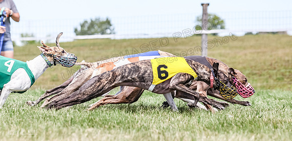 Program 3, Race 6 EllieMae Ullr Conway Pearl Tara Talim-4599
