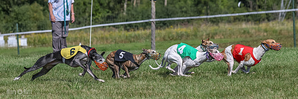 Program 1, Race 5 Conway Pearl Tissy Tina Bogie-1054
