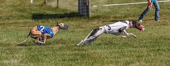 Program 1, Race 4 Charlotte Fia Chuck Bandit Blaze Denim-1013