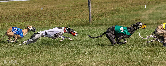 Program 1, Race 4 Charlotte Fia Chuck Bandit Blaze Denim-1006