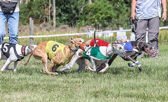 Program 1, Race 7 Zelda Sneakers Shimmy Mimic Jethro-1213