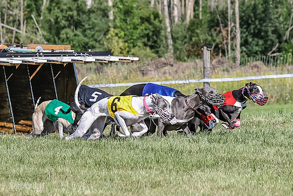 Program 1, Race 2 Jett Bolty Smokey Nathalia Zen Clover-0876
