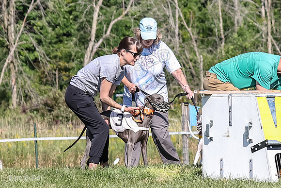 Program 1, Race 2 Jett Bolty Smokey Nathalia Zen Clover-0862
