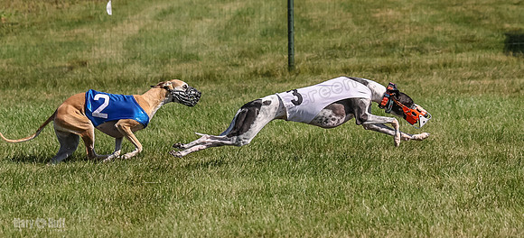 Program 1, Race 4 Charlotte Fia Chuck Bandit Blaze Denim-1010